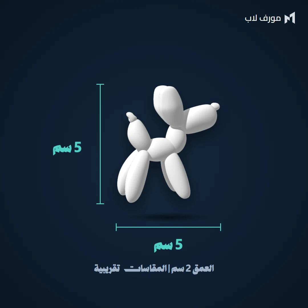 مقاس ميدالية دمية البالون: العرض 5 سم والارتفاع 5 سم والعمق 2 سم